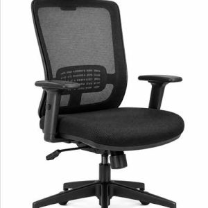 Chaise de bureau ergonomique